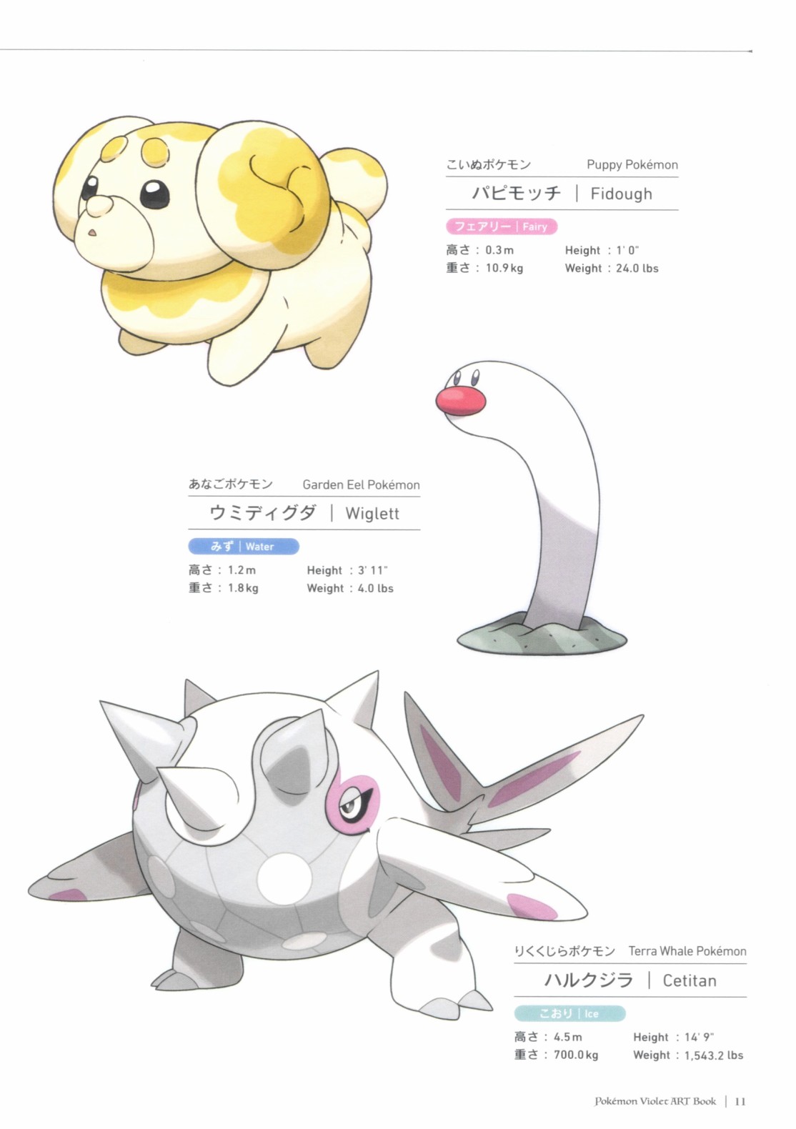 第11页