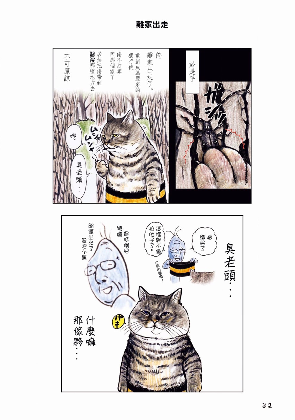 第3页