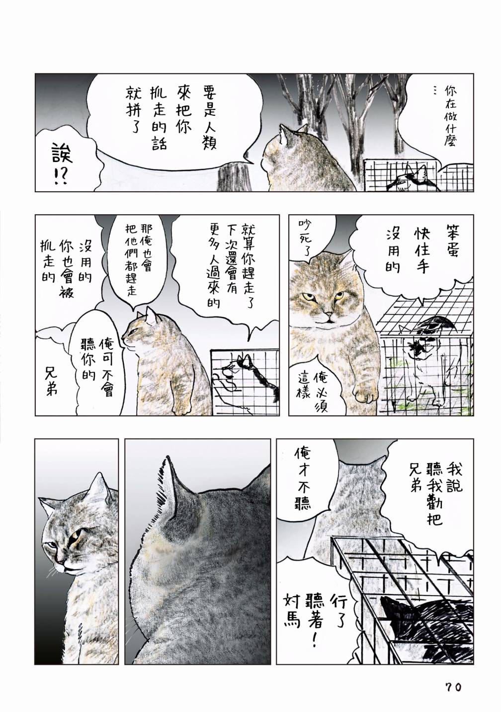 第42页