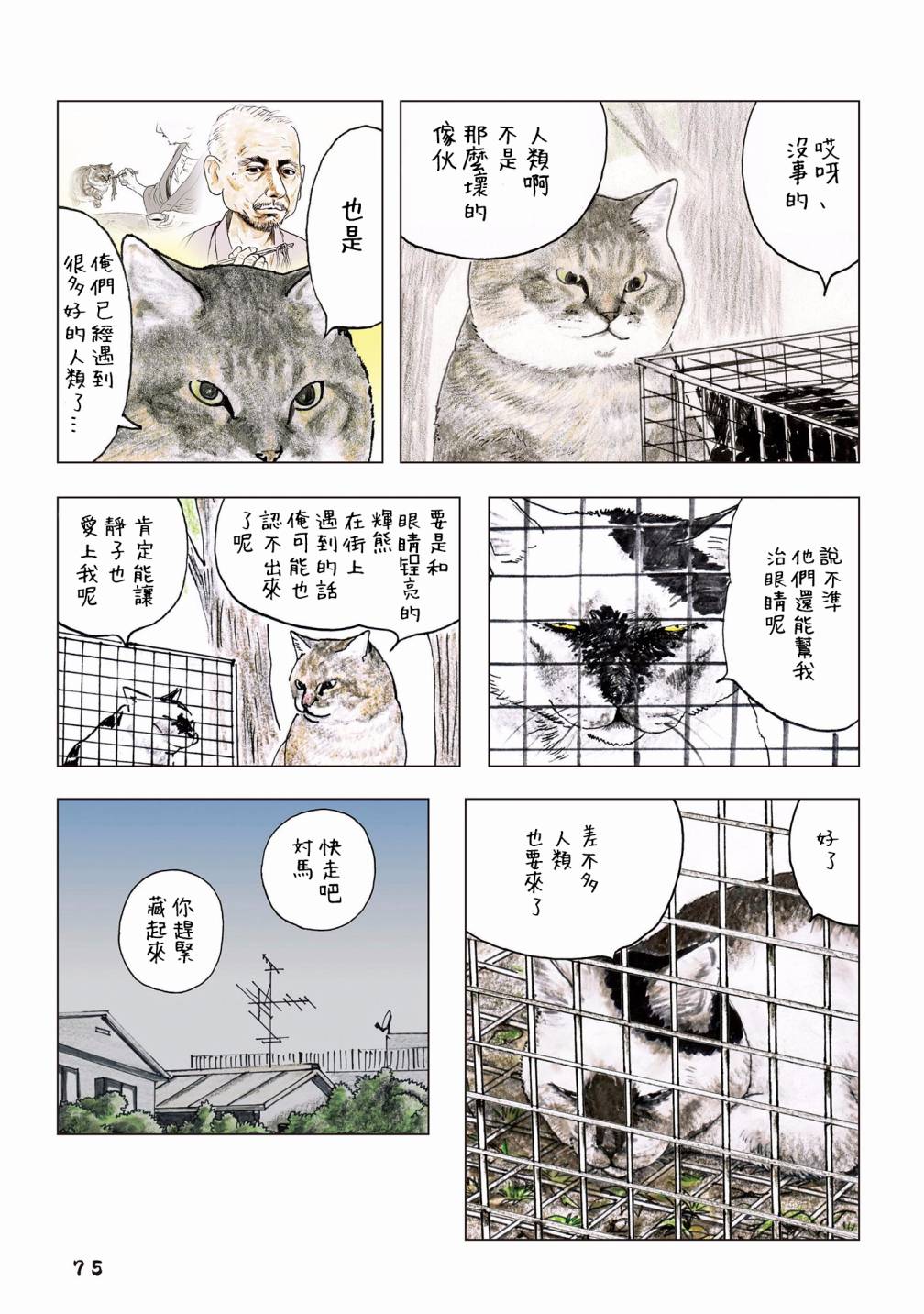 第47页