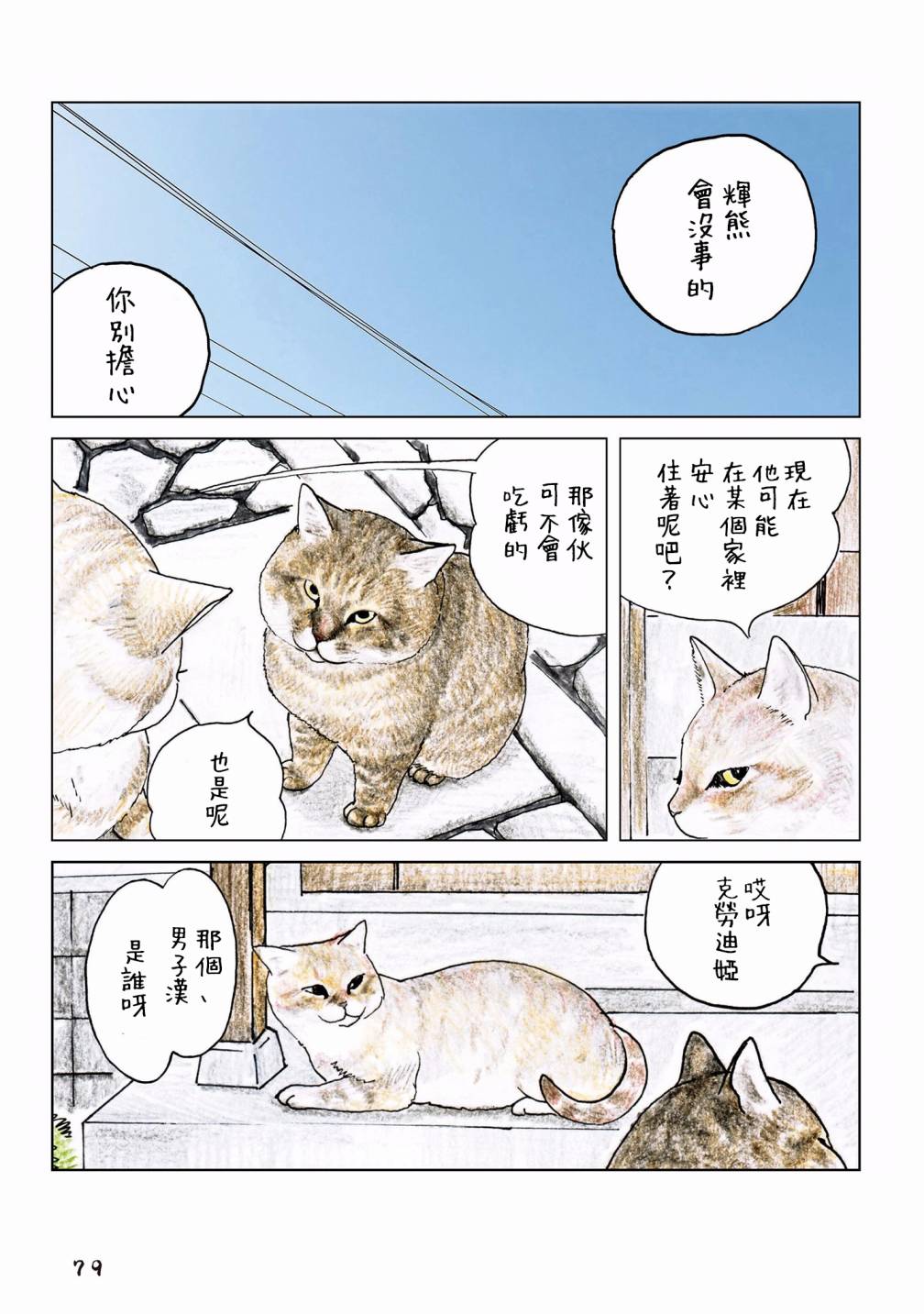 第51页