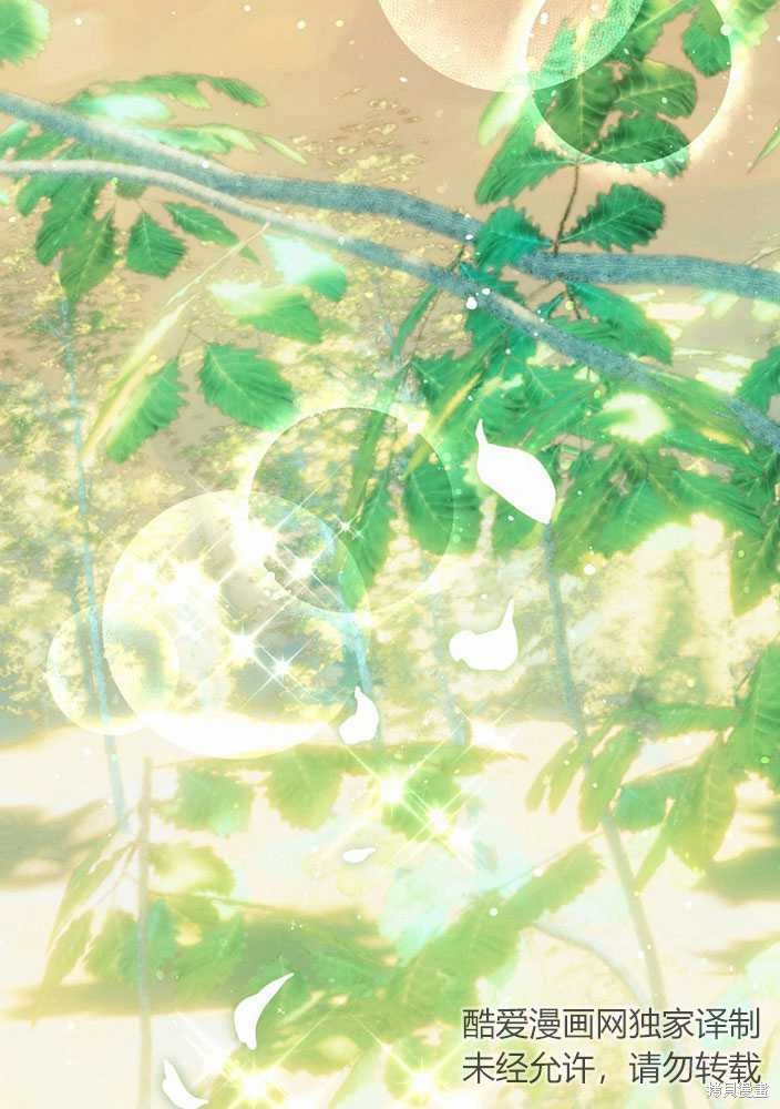 第205页
