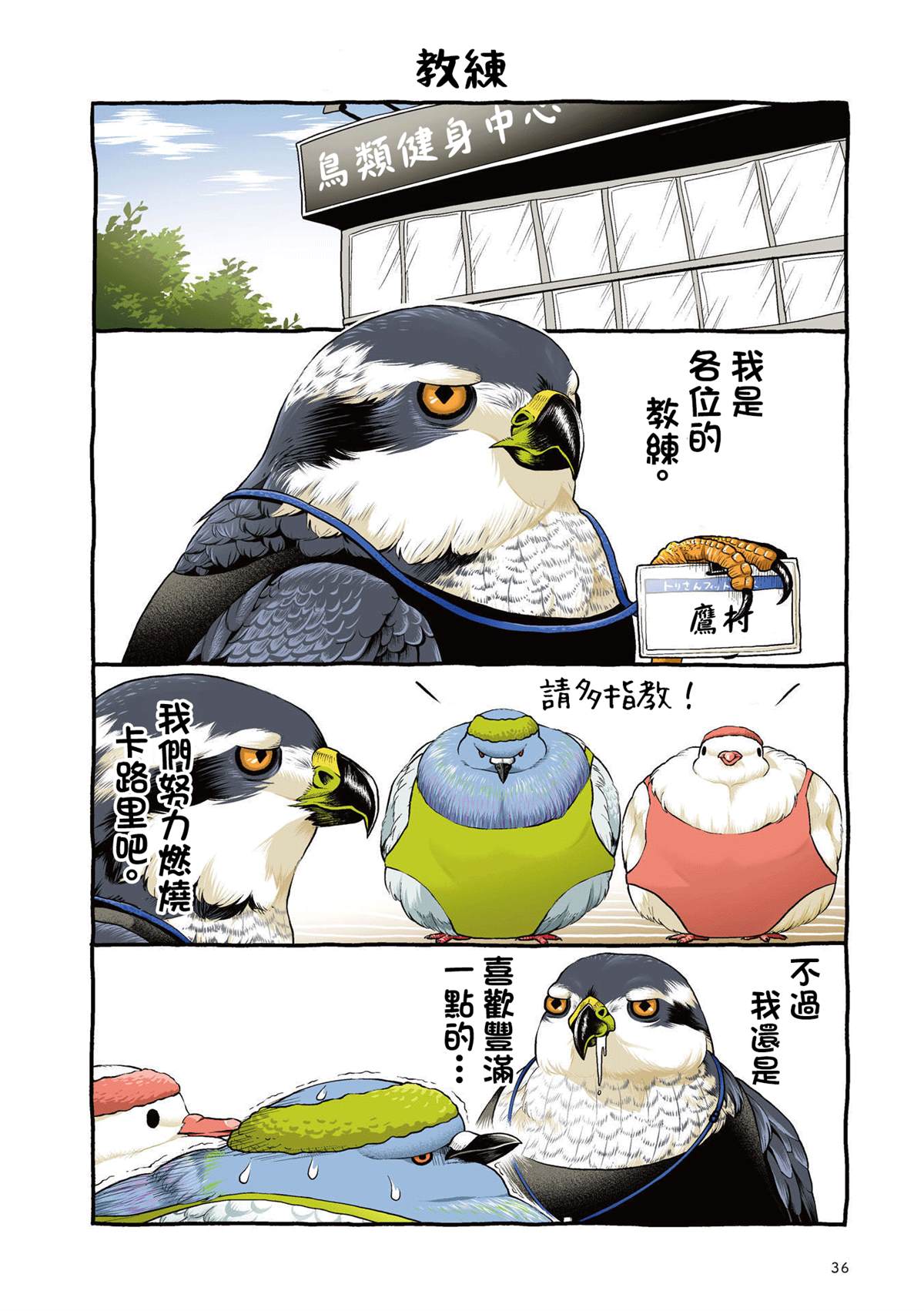 第5页