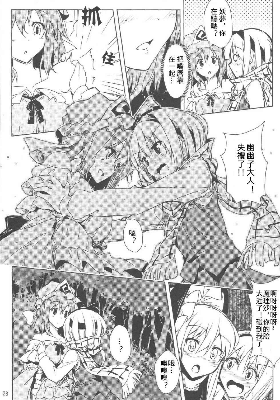 第27页