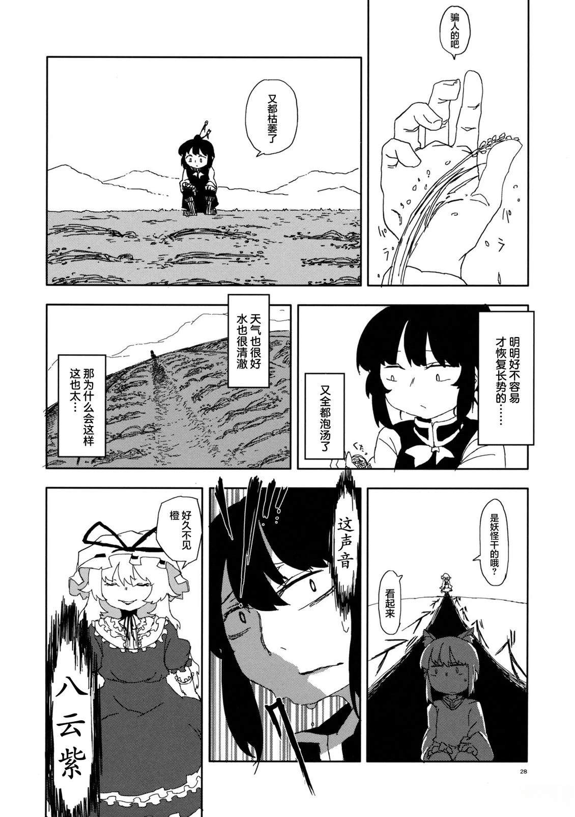 第27页