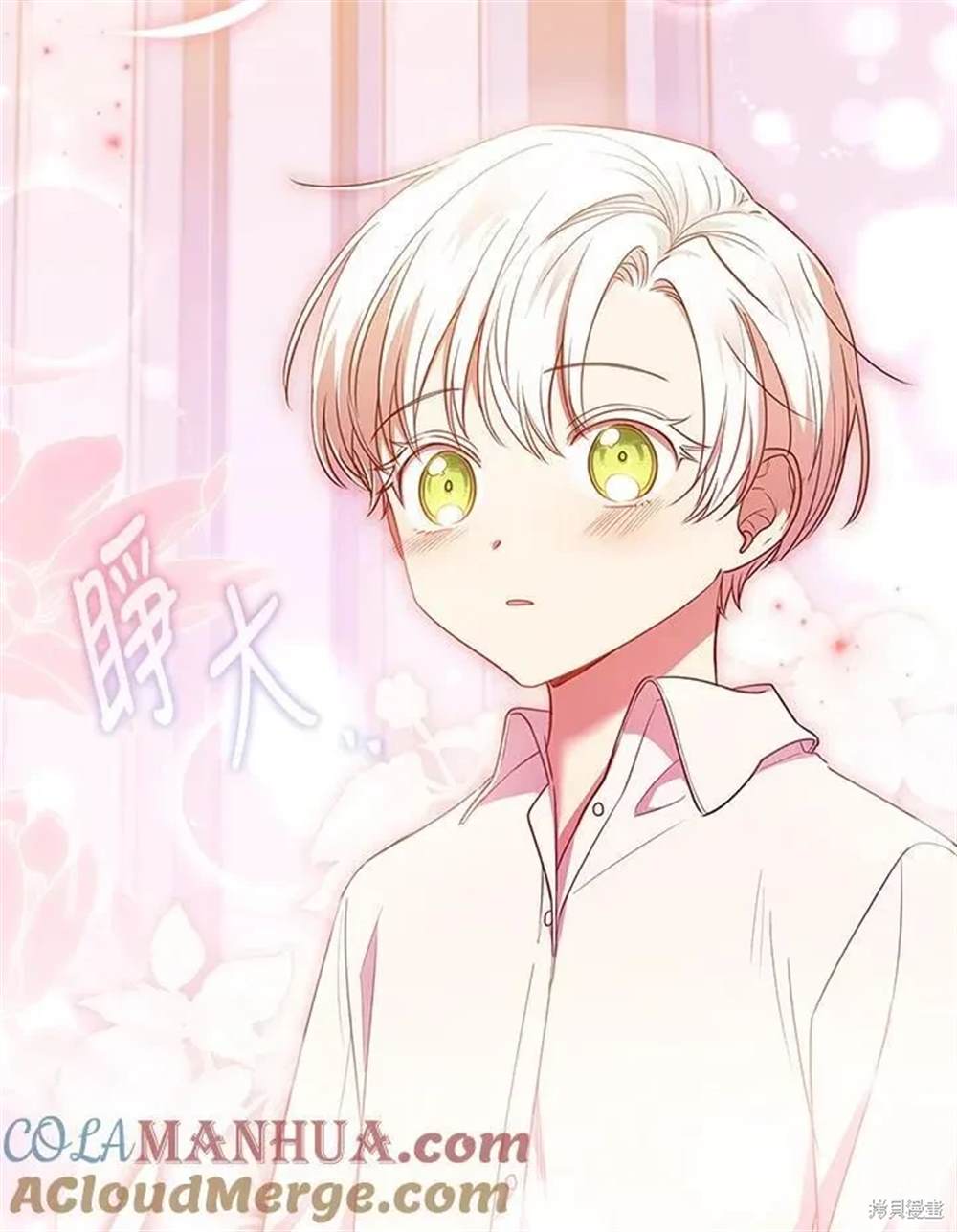 第185页